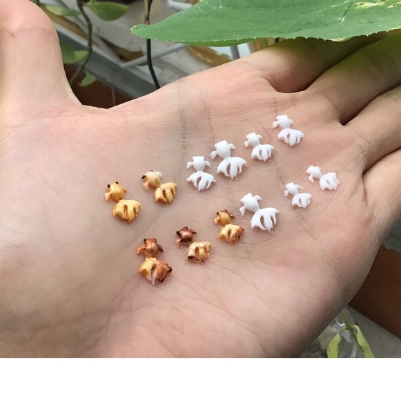 Keycap. Cá koi trang trí keycap, nail, handmade đa dạng thể loại thủ công.