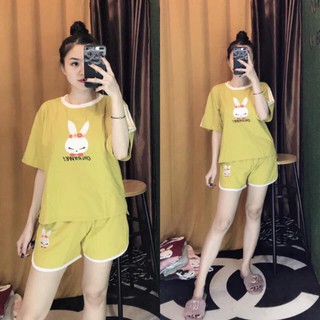 Bộ đồ thun hình thỏ chất siêu đẹp