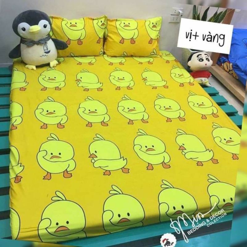 SET GA GỐI COTTON POLY THOÁNG MÁT