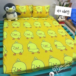 Set ga gối cotton poly thoáng mát