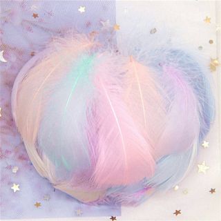 Lông vũ màu pastel trang trí chụp ảnh sản phẩm, làm dream catcher