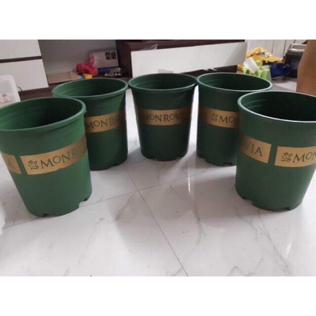 Chậu nhựa trồng cây Monrovia trồng hoa cây cảnh hoa hồng đủ kích thước, hàng đẹp