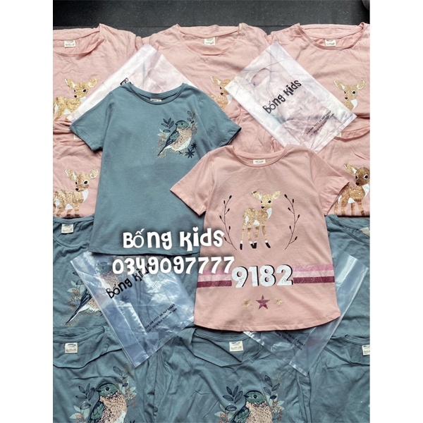 Áo Phông Bé Gái In Hình ZR