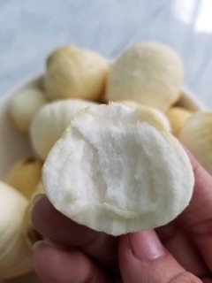 MỘNG DỪA TƯƠI- Hàng Đặt Trước