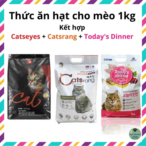 Thức ăn hạt hỗn hợp hoàn chỉnh cho mèo từ 3 tháng tuổi