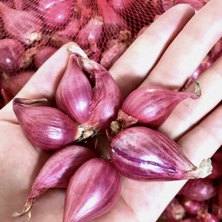 Hành tím lý sơn 1kg ⚡ freeship ⚡ hành khô hành củ loại ngon