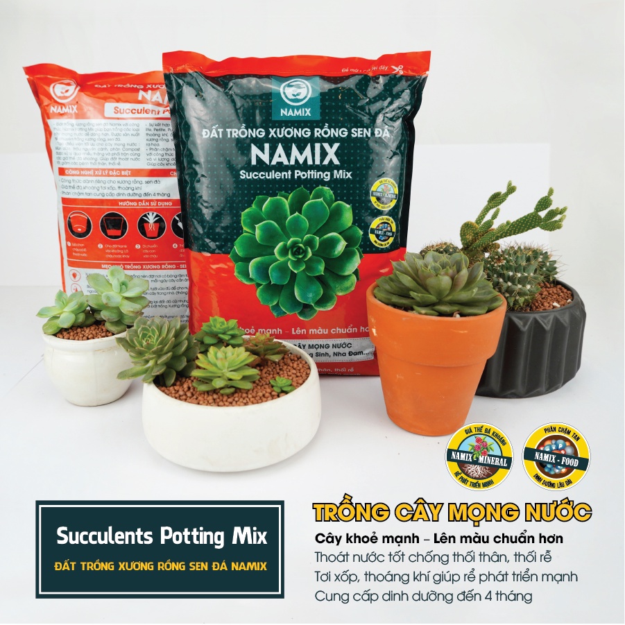 Đất trồng xương rồng sen đá Namix