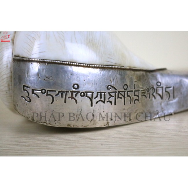 [PHÁP BẢO MINH CHÂU] ỐC NEPAL (NHƯ Ý CÁT TƯỜNG) - BỌC ĐỒNG CAO CẤP TRẮNG