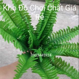 Cây Dương Xỉ Vải Cỡ Trung Cao 55cm Trang Trí Tường Cỏ - Cây giả