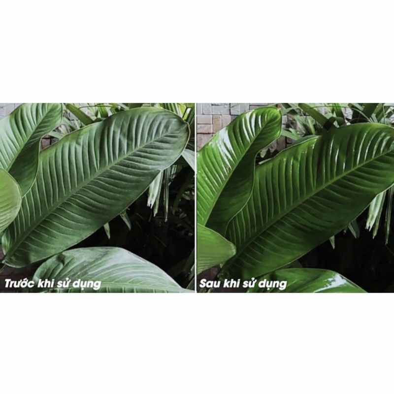 Bóng Lá Floralife Leafshine từ Mỹ - Bình xịt bóng lá 750ml hàng chính hãng