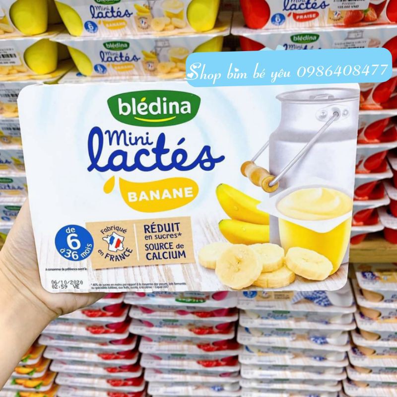 Sữa chua BLEDINA đủ vị