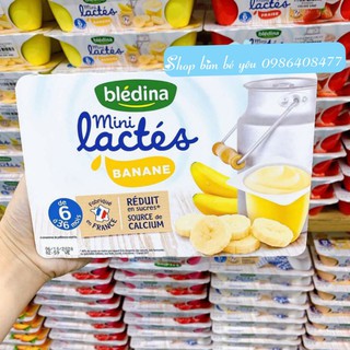 Sữa chua bledina đủ vị