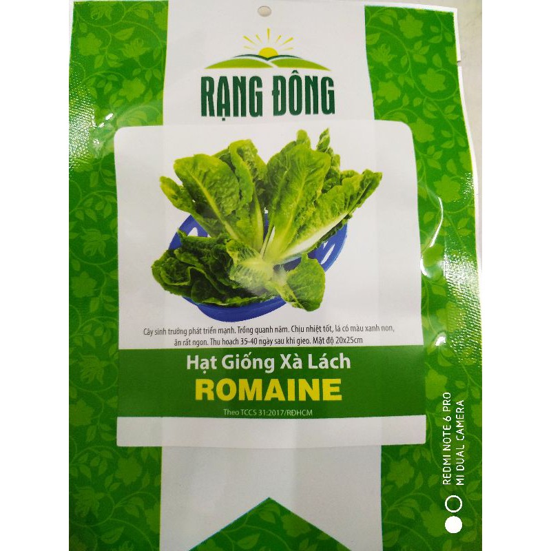 Hạt giống Xà lách Romaine xanh  2gr❤️FREESHIP XTRA❤️