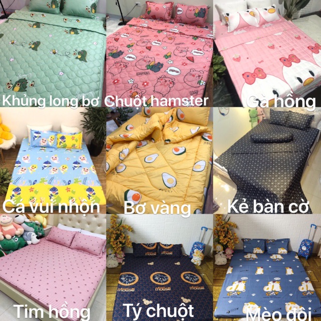 Set ga gối chăn hè Cotton poly 5 món mới nhất. Được chọn mẫu