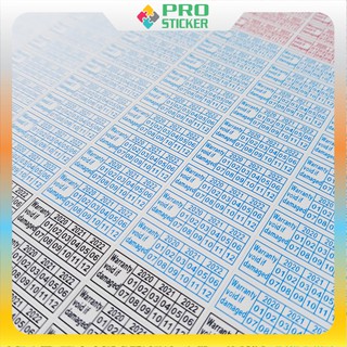 500 Tem Bảo Hành Năm 2024 Hình Chữ nhật, Tem Niêm Phong, Tem Vỡ, Decal Vỡ + Bế Sẵn