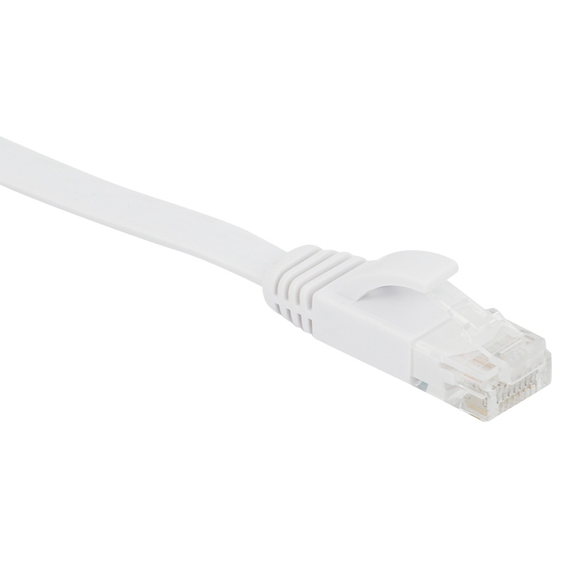 Cat 6 Ethernet Cable 100 Ft (30 Meters) Flat Slim Long Internet Network LAN Patch Cords, Cat6 High Speed Computer Wire