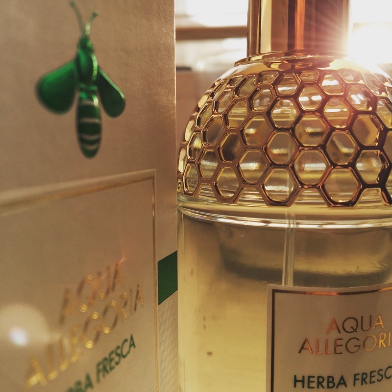 Mẫu thử Nước hoa Unisex Aqua Allegoria Herba Fresca của hãng GURELAIN 10ml | BigBuy360 - bigbuy360.vn