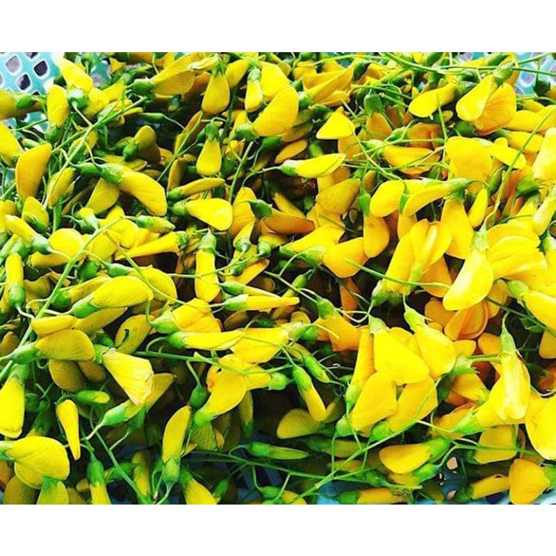 Bông Điên Điển 200g