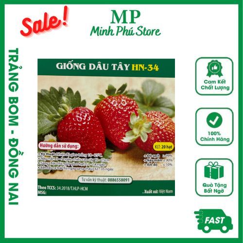 Giống Dâu Tây HN34 - 20 Hạt - Hạt Giống Chịu Nhiệt Trồng Quanh Năm Nảy Mầm Tốt Năng Suất Cao