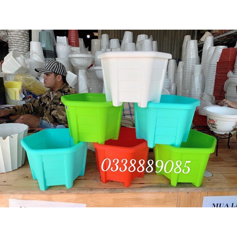 Chậu nhựa hoa Lục giác - hàng chính hãng Z111, hàng đẹp và cứng