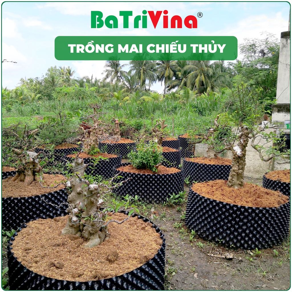 Combo 5 mét Bầu Nhựa Dưỡng Cây - Ươm Cây BoSaVina, Thoáng khí, thoát nước, bảo vệ bộ rễ, giúp cây phát triển khỏe mạnh