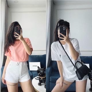Set 2 áo logo gấu nhỏ, combo 2 áo phông gấu Hàn Quốc - Hanu91