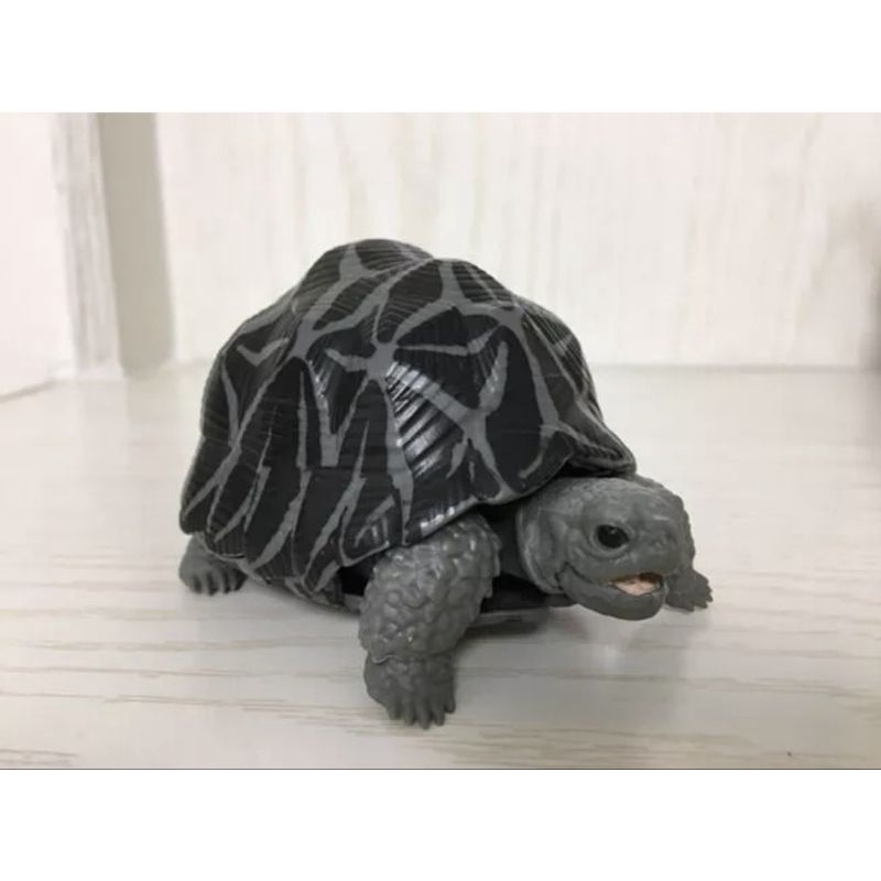 Mô hình Rùa BANDAI mẫu mới new 100%