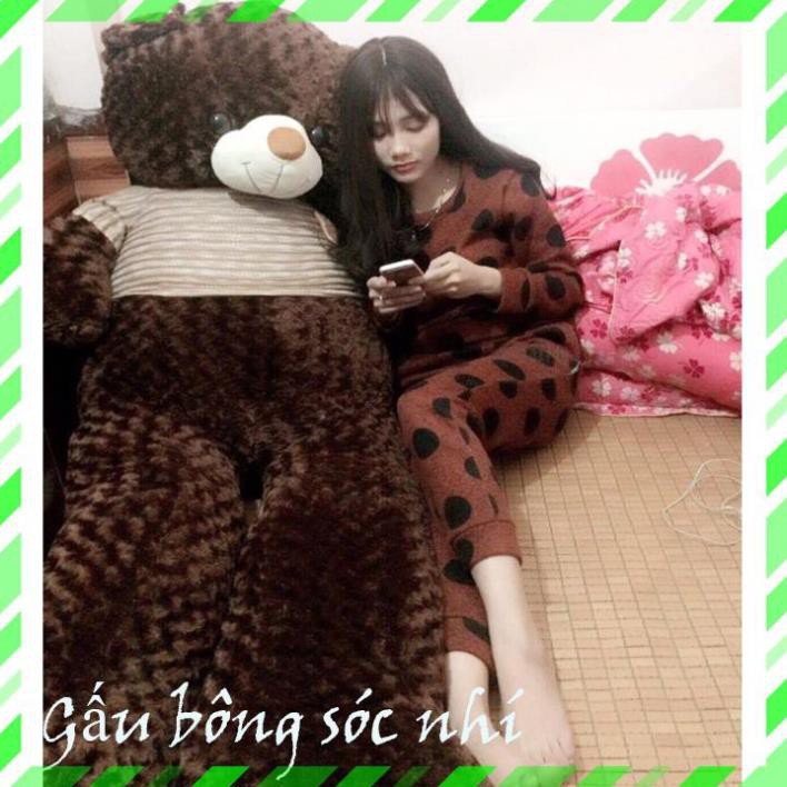 [Mua 1 Tặng 1] Gấu Bông Teddy Size 1m6 💥 FREESHIP 💥 Gấu Bông Sóc Nhí - Mua 1 Gấu Bông Teddy Tặng 1 Gấu Bông Trà Sữa