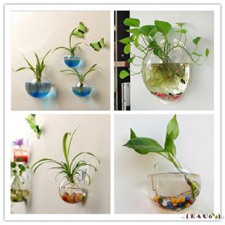 Chậu Kính Trồng Cây Dạng Quả Cầu Treo Trang Trí Bể Cá / Vườn Nhà