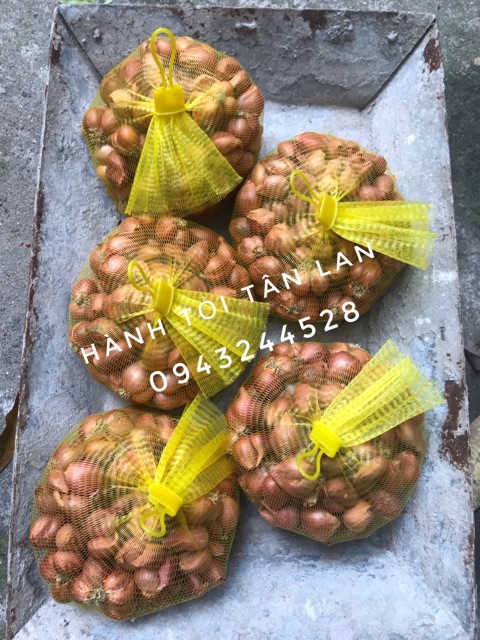 [Có sẵn] Hành khô - Tỏi khô - Kinh Môn Hải Dương | BigBuy360 - bigbuy360.vn