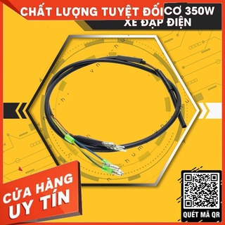 Dây động cơ xe điện 350w cao cấp