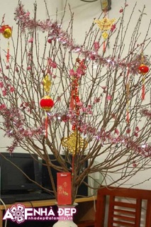 Khánh chúc mừng mừng năm mới