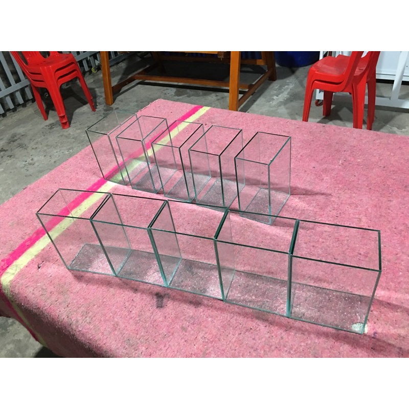 Hồ cá betta,lia thia,guppy,