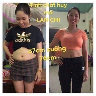 Tinh chất hủy mỡ lan chi