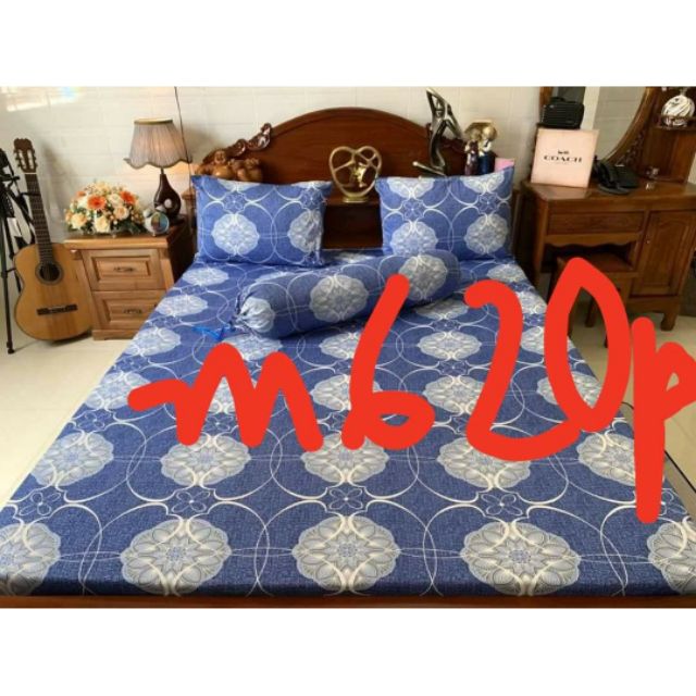 Combo Ga chống thấm cotton cao cấp Su Su