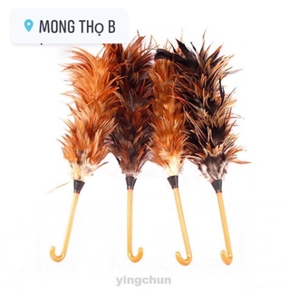 chổi lông gà dài ngắn phủi bụi
