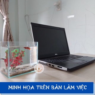 Bể cá mini BETTA nhỏ xinh kèm phụ kiện