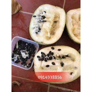 Hạt bí mèo (bí đen)