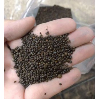 1kg Sỏi suối nâu lót nền bể thủy sinh