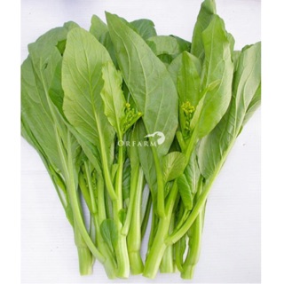 Hạt giống rau cải ngồng (20g)