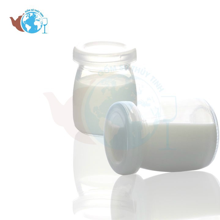 Bộ 12 hũ thủy tinh pudding lùn 100ml