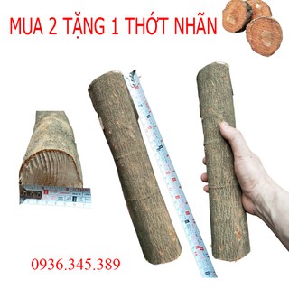5 khúc gỗ nhãn ghép lan , đường kính 5 - 7 cm, dài 20-30 cm