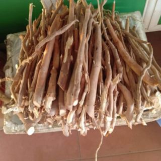 Sâm cau Kon Tum 1kg khô