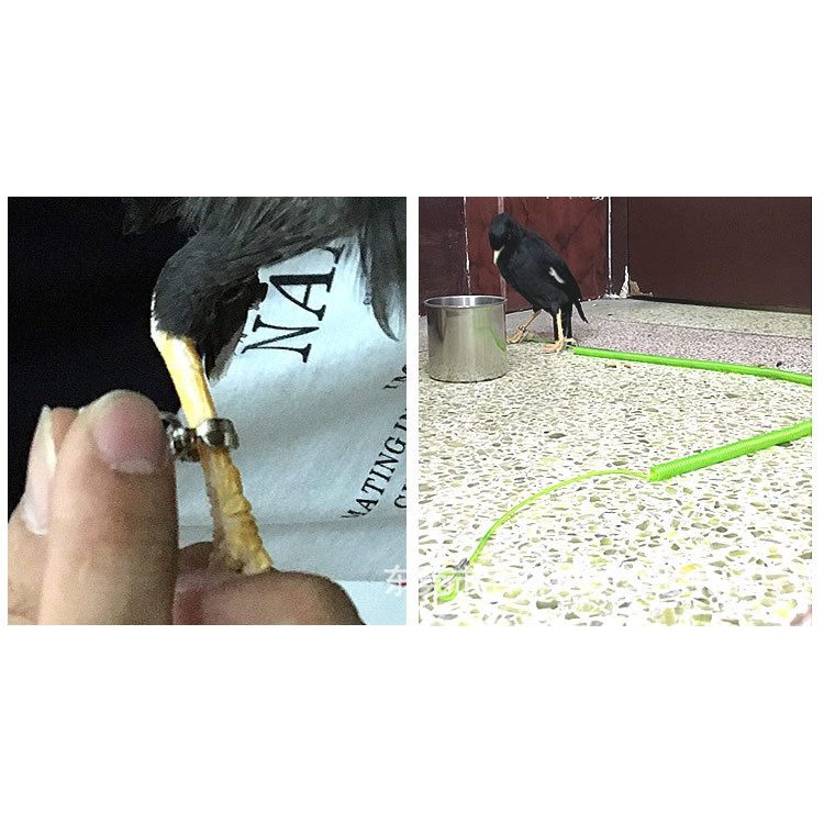 Dây lo xo lõi thép 3m