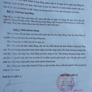 Bút đôi dính bàn Thiên Long PH-02