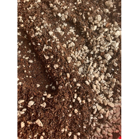 Đất trồng sen đá, bịch 200g đầy đủ 12 loại thành phần cho cây xương rồng