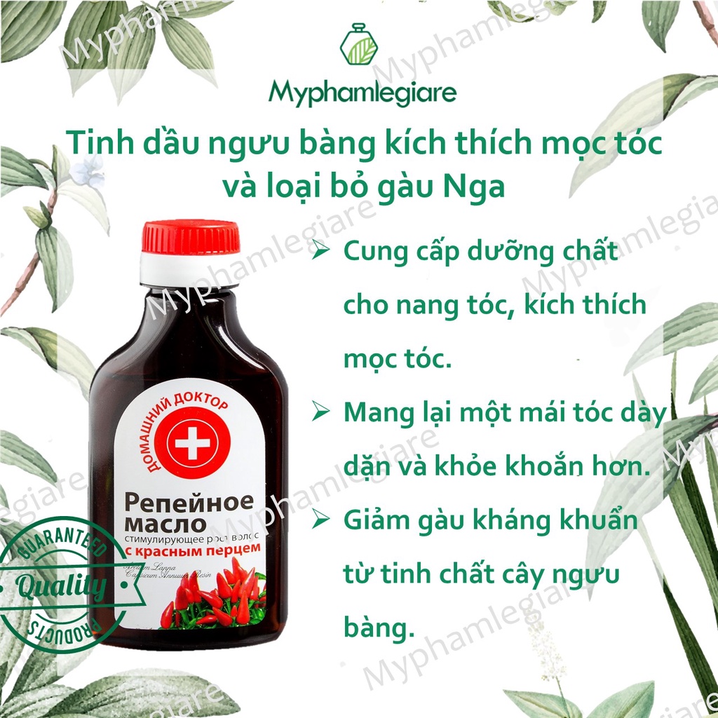 DẦU NGƯU BÀNG KÍCH MỌC TÓC