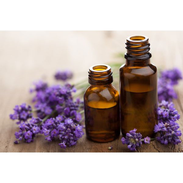 Tinh Dầu Oải Hương Thiên Nhiên thanh lọc không khí, kháng khuẩn, chống viêm Lavender Essential Oil AloAroma