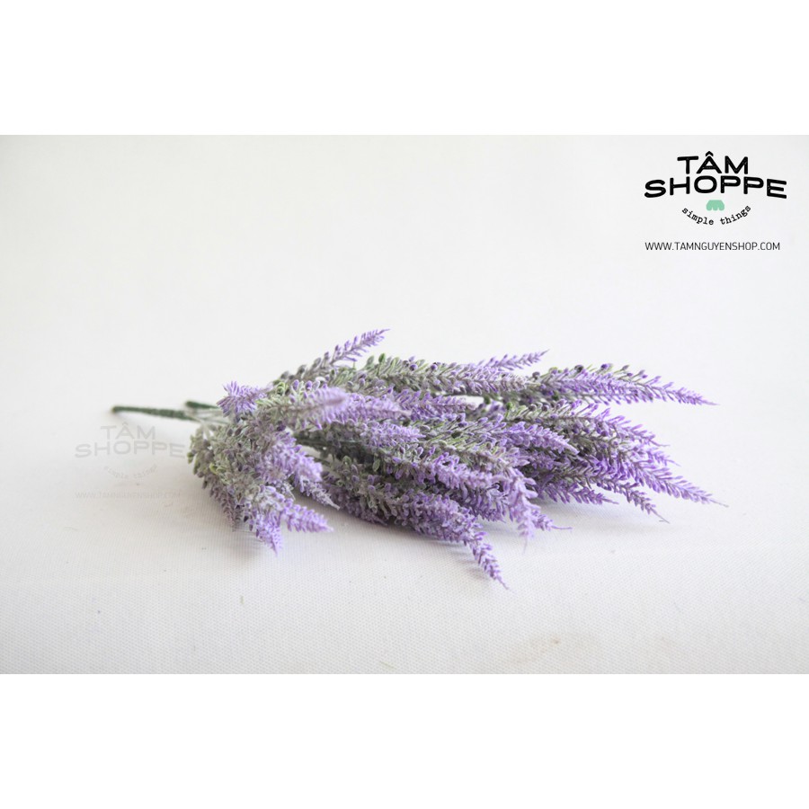 Cành hoa lavender Vintage đồng giá 35k TTTM