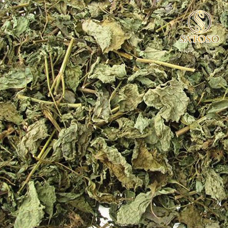 Cây tía tô khô thượng hạng thanh lọc cơ thể SATOSO 1kg SA50